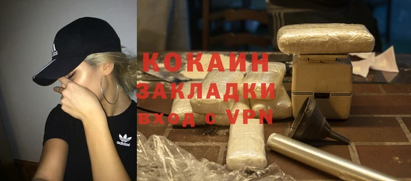 дурь Бородино