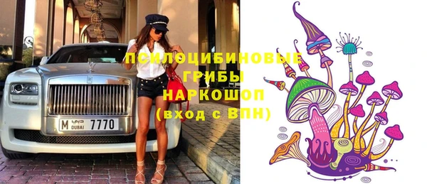 дурь Бородино