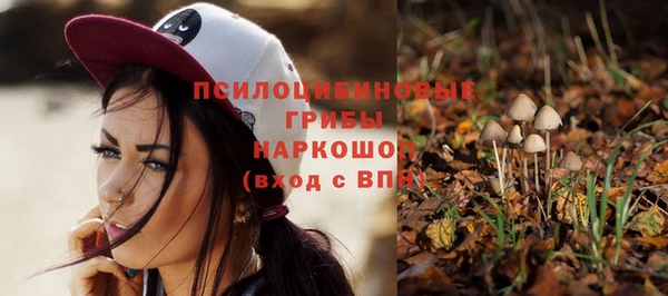 ECSTASY Верхний Тагил