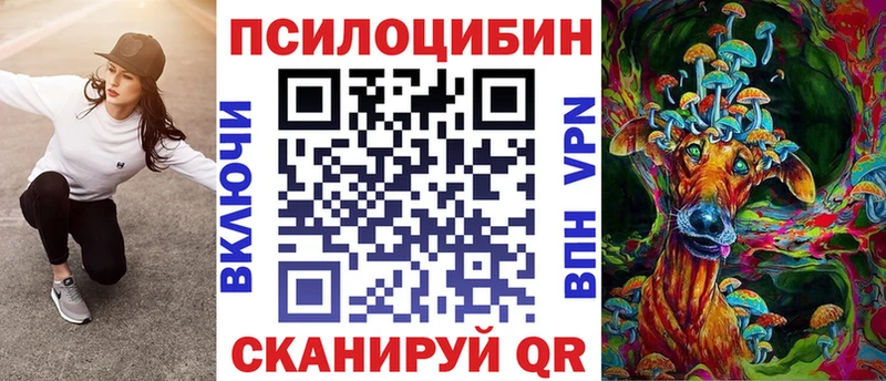 Псилоцибиновые грибы Psilocybine cubensis  наркошоп  Новосокольники 
